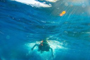 Boy snorkeling in ocean.