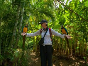 tourist woman with Macaw in tropical jungle, Aruba