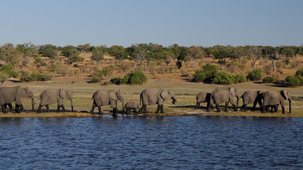 botswana