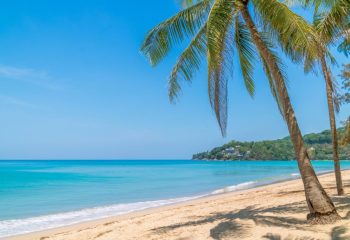 Kamala Beach with crystal clear water and coconut tree, famous tourist destination, Phuket, Thailand
